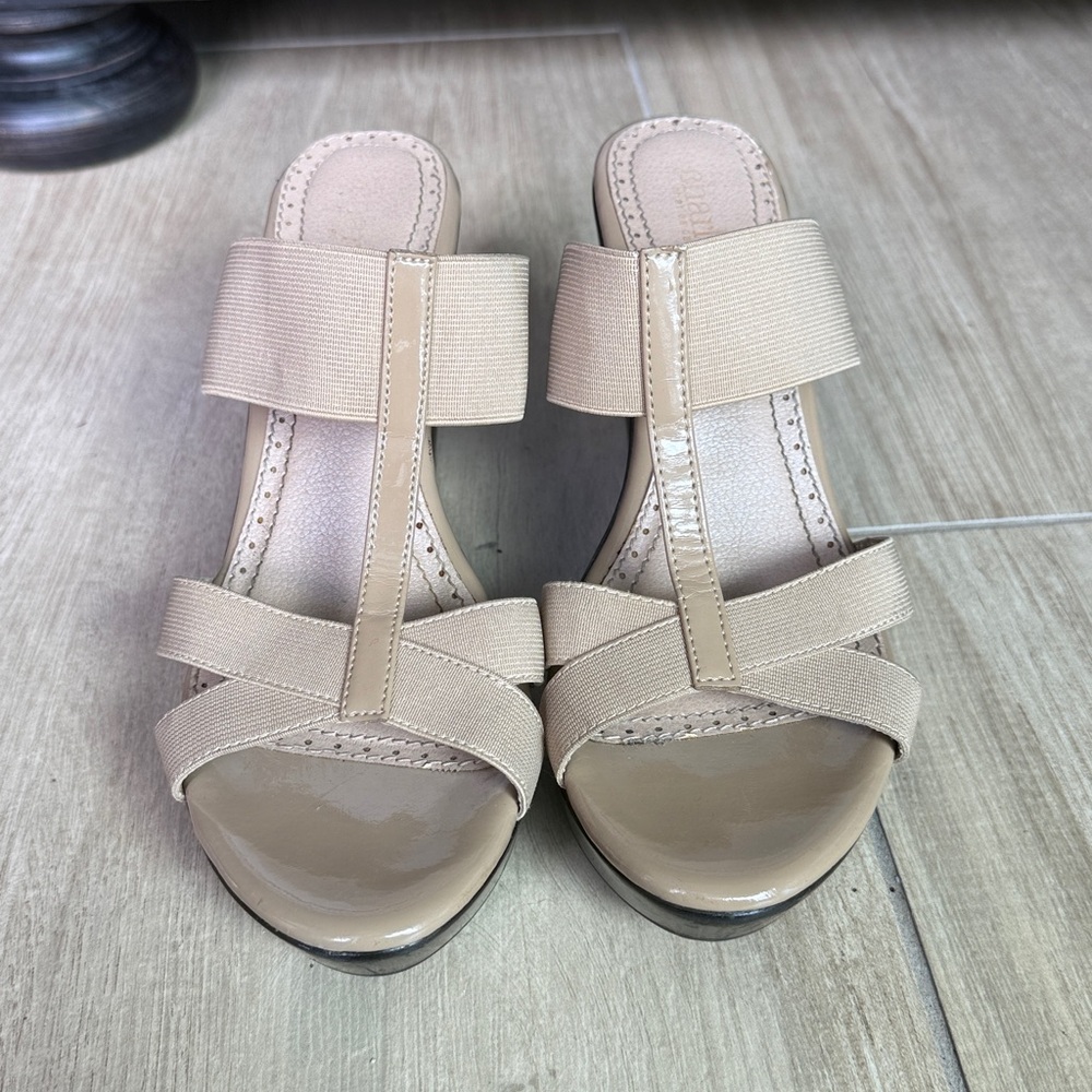 Charles By Charles David Tan and Black Wedges
